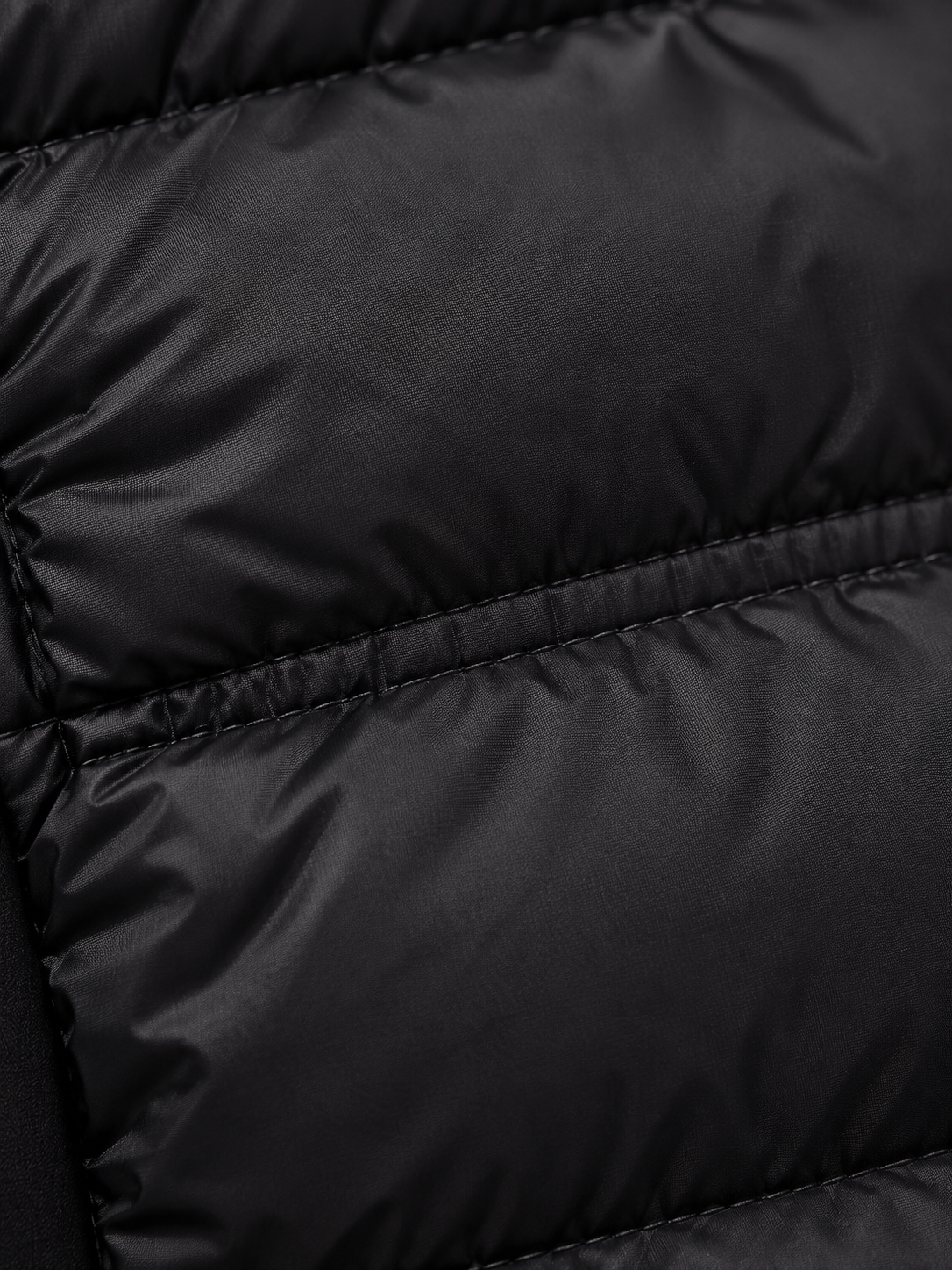 Women's Hybrid Padded Jacket | Quilted Front, Stretch Sleeves